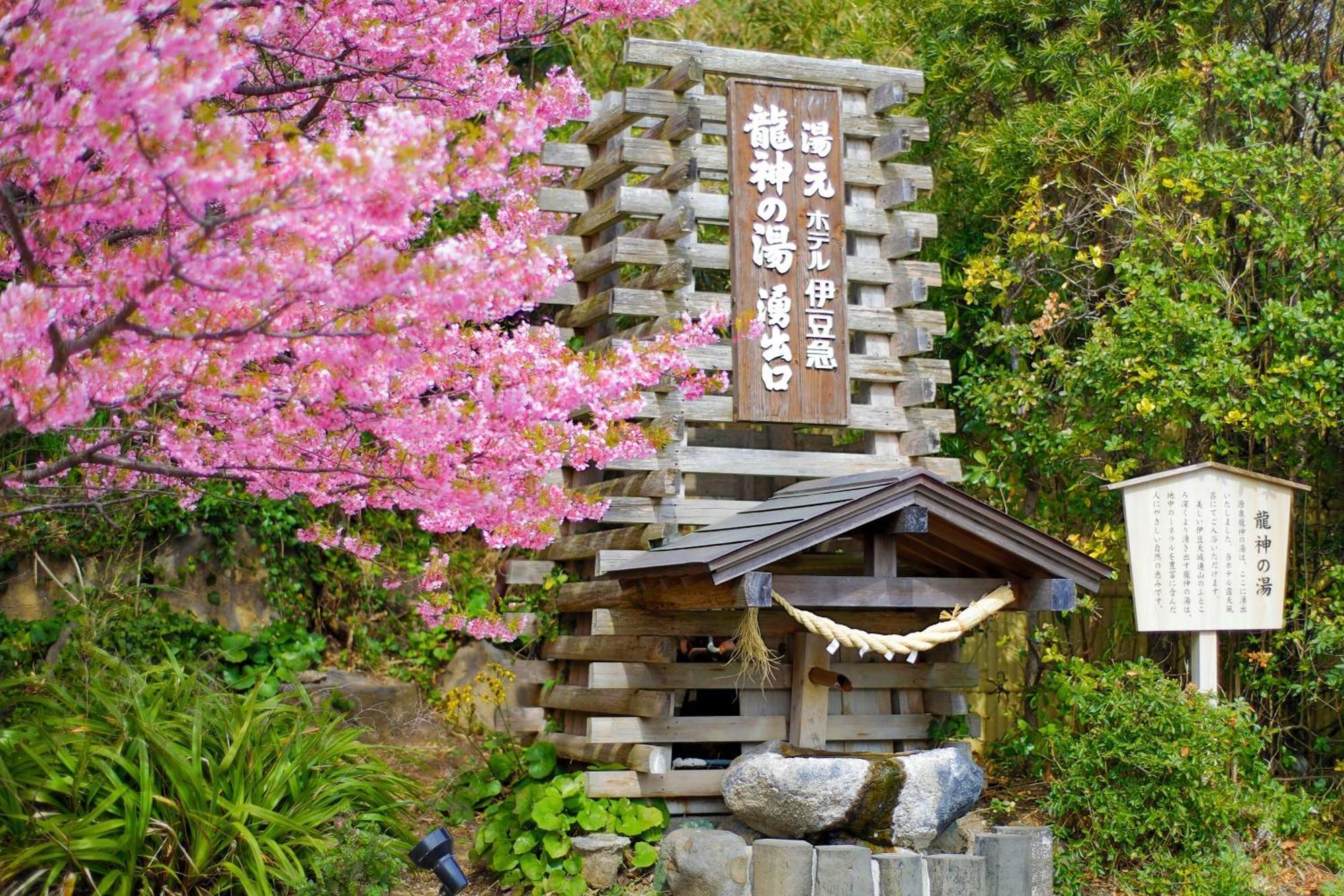 Hotel Izukyu Shizuoka Exterior foto